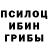 Галлюциногенные грибы GOLDEN TEACHER Smity83
