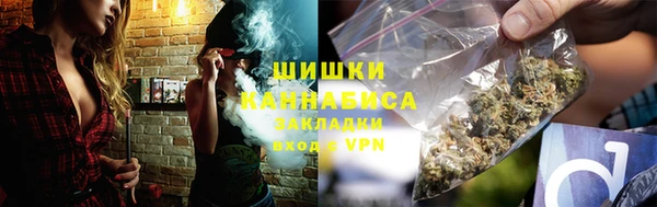 индика Рославль