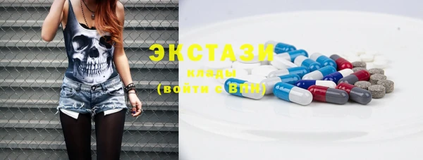 индика Рославль