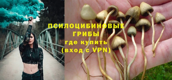 ПСИЛОЦИБИНОВЫЕ ГРИБЫ Алексин