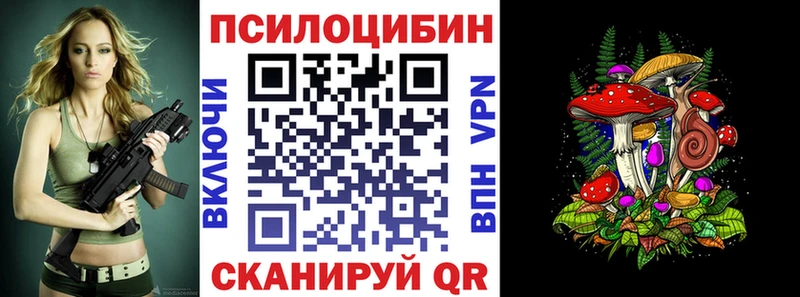 Псилоцибиновые грибы Psilocybe  Данилов 